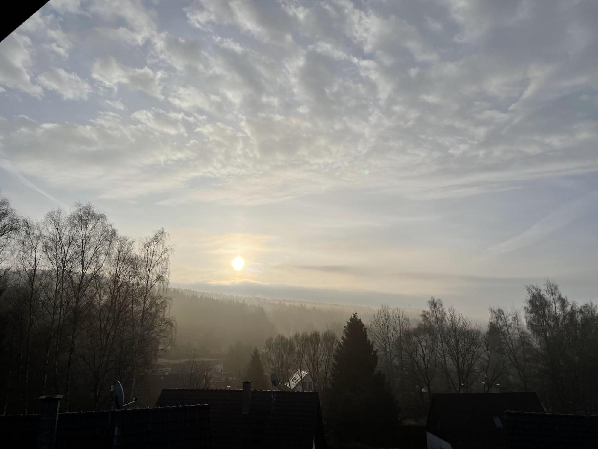 Lipno Moss * Lipno nad Vltavou