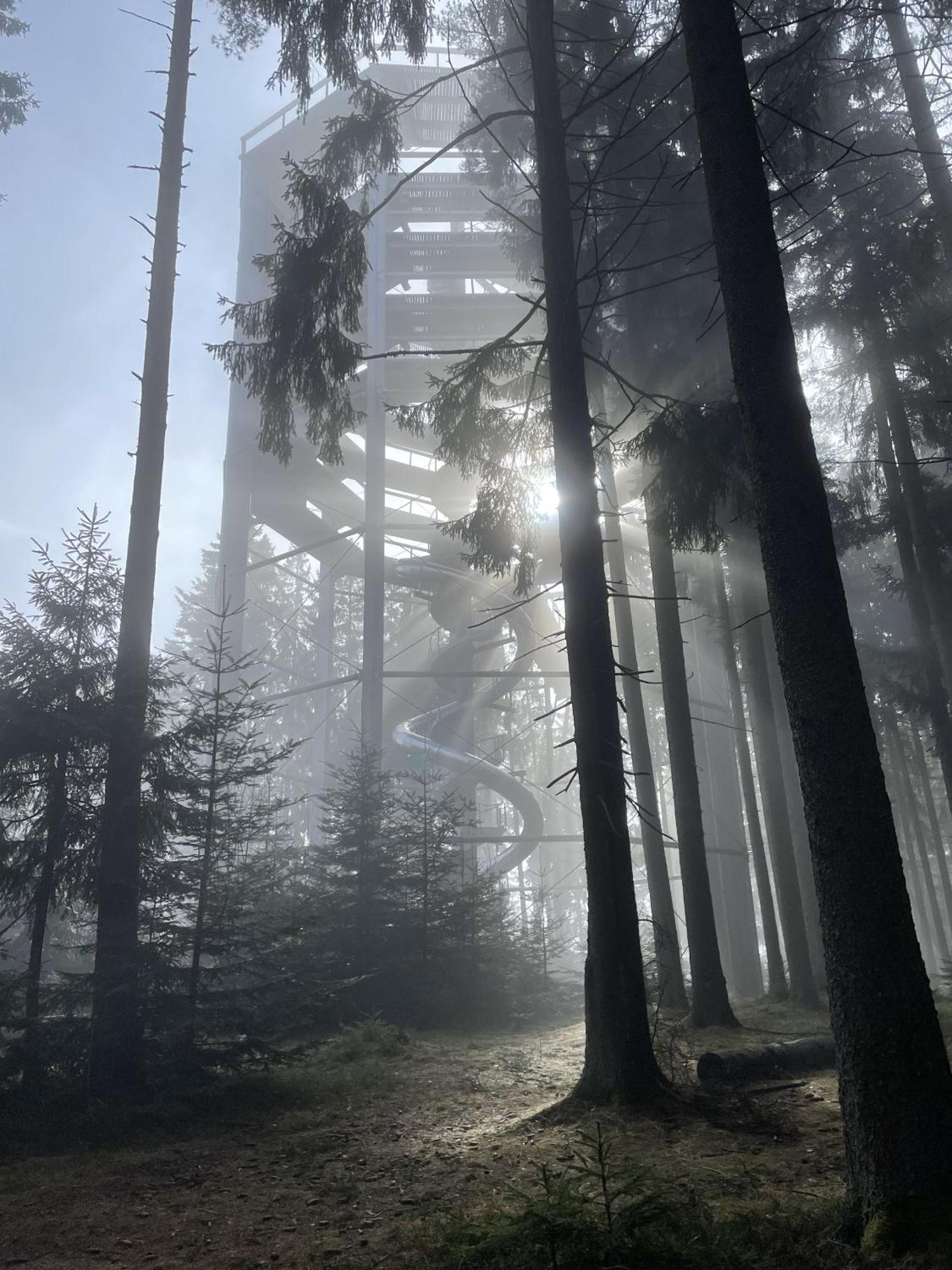 Lipno Moss * Lipno nad Vltavou